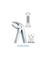 Pinza per  Estrazione Falcon Fig. 13  PreMolari Inferiori 