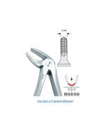Pinza per  Estrazione Falcon Fig. 4  Incisivi e Canini Inferiori 