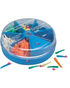 Cunei  INTERDENTAL kerrhawe assortiti  500pz ruota 826