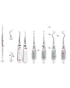 Leve per Estrazione e radici  Asa Dental 1pz.