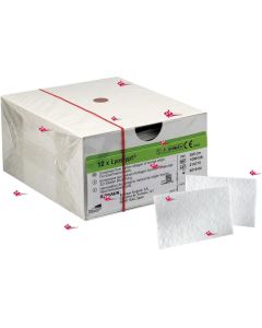 LYOSTYPT COLLAGENE BOVINO B.Braun