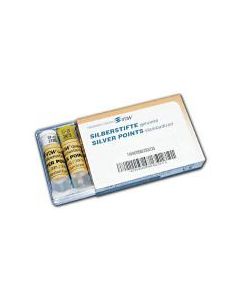 Silver Points Coni Punte di Argento 30pz zipperer