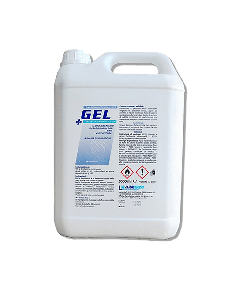 LH Gel  Mani Disinfettante 5000ml