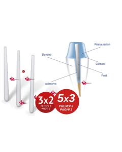 Perni in Fibra AVANT CONICAL  posts  10pz BIOLOREN