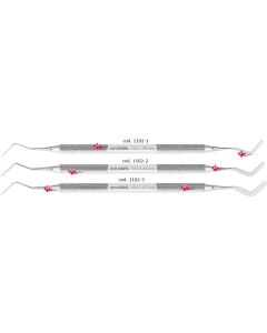 Heidemann 1