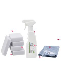 FD 360 DURR DENTAL 250ml + 5 spugne